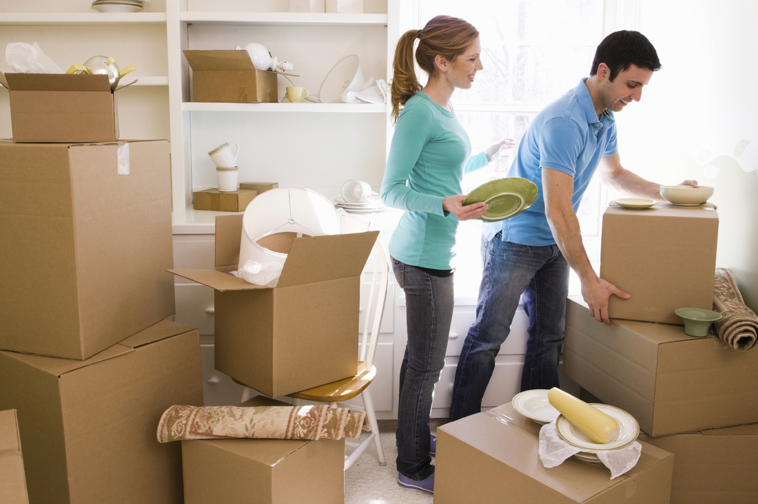 Wheat Ridge Movers crew loading commercial moving boxes and office furniture