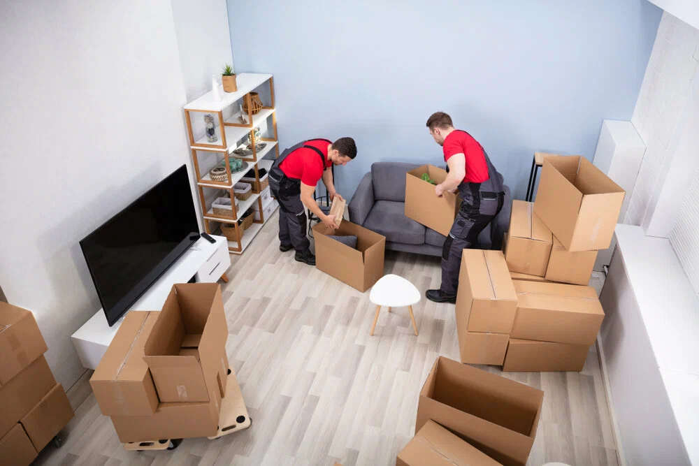 Professional Wheat Ridge movers handling a commercial office relocation