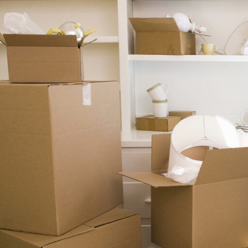 Wheat Ridge Movers commercial moving team