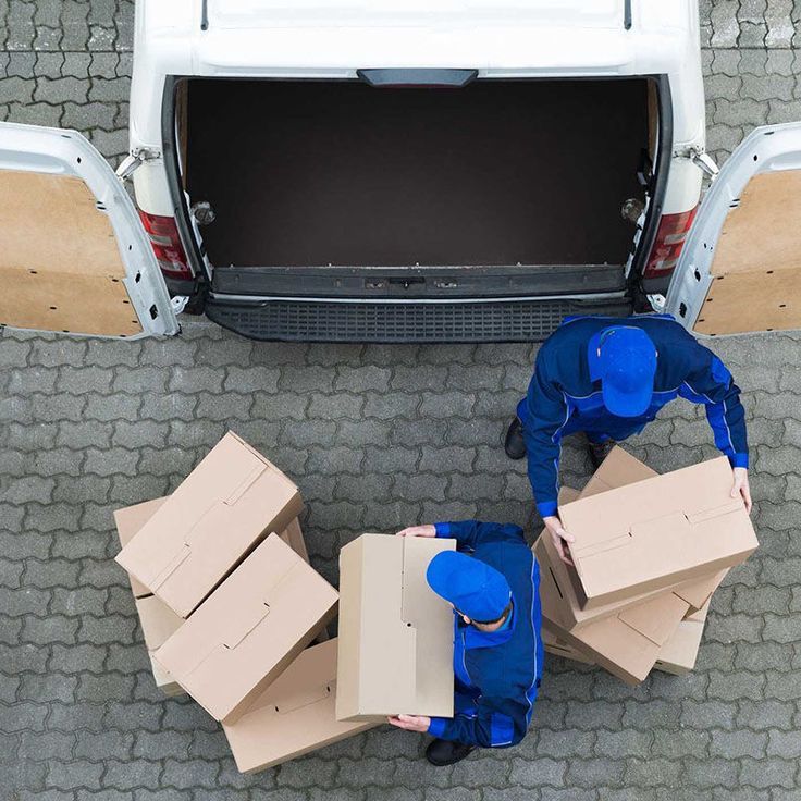 Wheat Ridge Movers crew handling a senior relocation with care